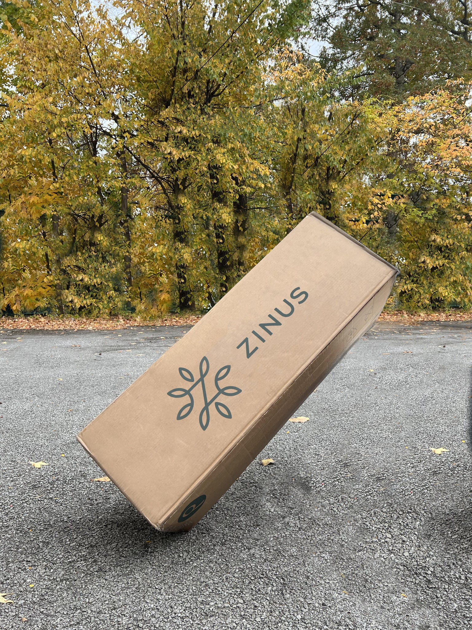 Zinus mattress in a box packaging, ready for delivery, with fall foliage in the background
