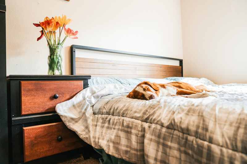 Zinus Wood Platform Bed Frame supporting memory foam mattress in cozy bedroom setting, showcasing sturdy construction and spacious surface for relaxation, with layered pillows and bedside styling demonstrating comfort and everyday use in modern home decor