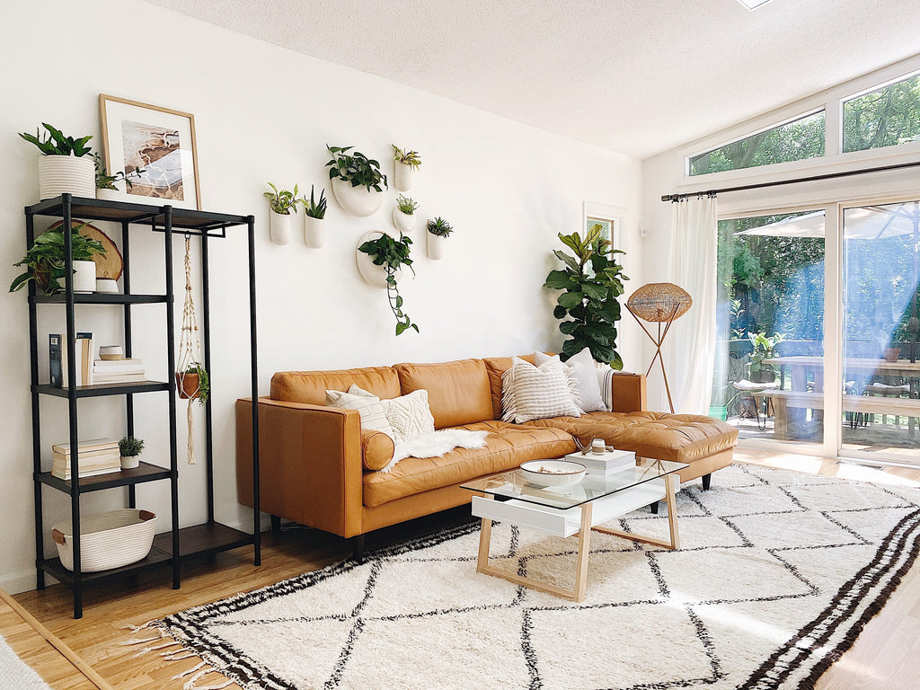 One Bookshelf, Endless Possibilities