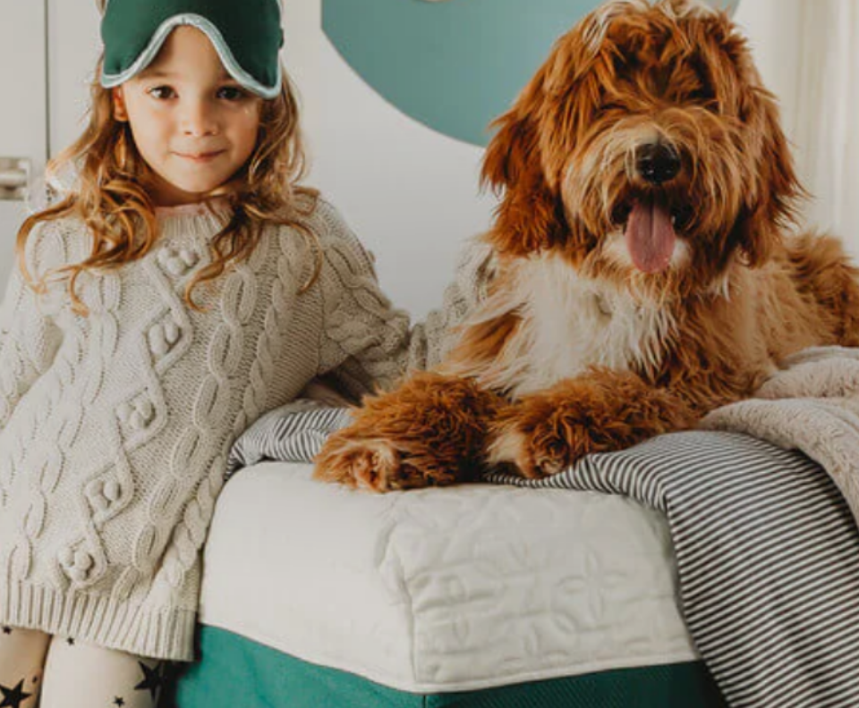 Young child wearing a cream cable-knit sweater and green sleep mask stands beside a large fluffy brown and white dog with tongue out, both leaning on the corner of a neatly made bed with layered striped and textured blankets, conveying a cozy bedroom setting with playful companionship. 