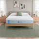 Zinus Balanced Comfort Signature Memory Foam Mattress fully set up on a natural wood platform bed with upholstered headboard in a light bedroom with white and green pillows, nightstands, and lamps on either side, showing the mattress in its intended setting.