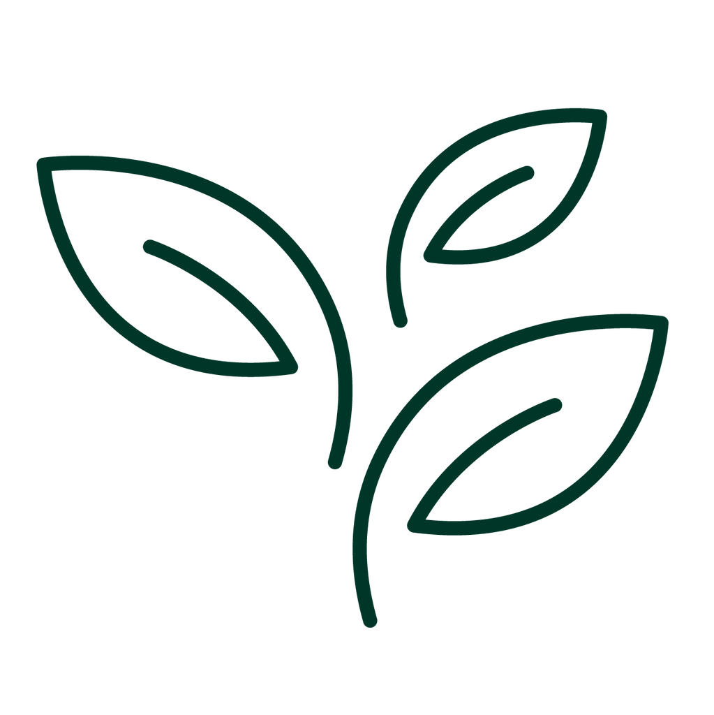 green tea icon 