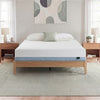 Zinus Original Green Tea Memory Foam Mattress, Queen, on light wood platform bed frame in bright bedroom with white and sage pillows, matching nightstands, lamps, books, and a succulent plant.